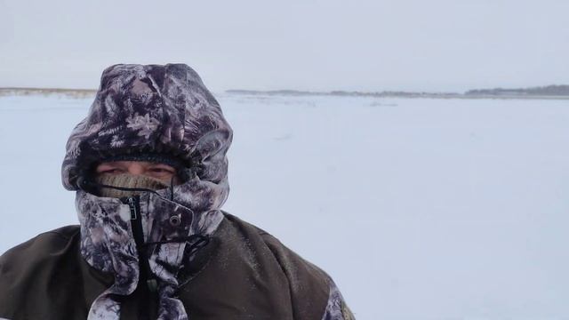 Новосибирская область. оз. Чаны смотреть онлайн
