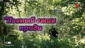 КАК ВЫЗВАТЬ ПЬЯНОГО ЕЖИКА ДЛЯ ИСПОЛНЕНИЯ ЖЕЛАНИЙ