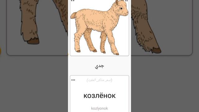 #اللغة الروسية #русскийязык (2) смотреть онлайн