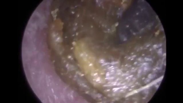 Учим Делать С Любовью