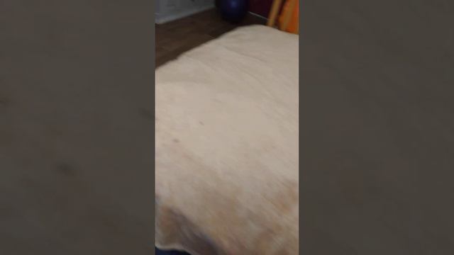 рассказ про кровать смотреть онлайн