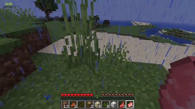 Minecraft gameplay in Rainy Day | zare game infinity | Minecraft adventure смотреть онлайн