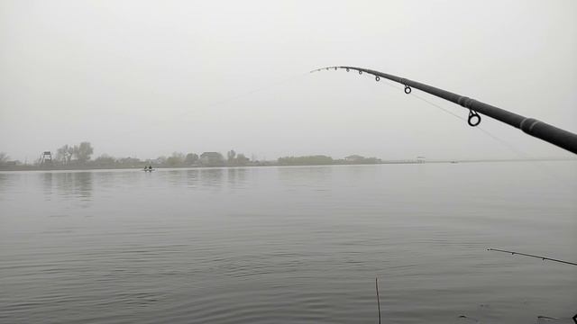 ВОБЛА ИДЕТ ПОЛНЫМ ХОДОМ. ЛОВИМ КРУПНУЮ ВОБЛУ.