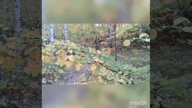 Жигули. Гора Верблюд. смотреть онлайн