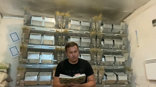 КРОЛИК ИЛИ ШИНШИЛЛА??? КОГО ВЫГОДНЕЕ ВЫРАЩИВАТЬ смотреть онлайн