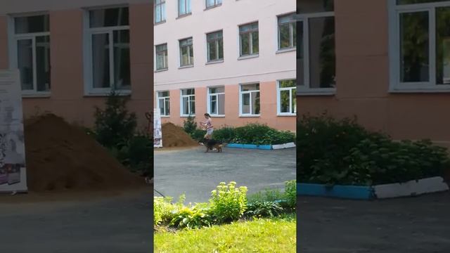 Региональная выставка в Руденске, 13.08.2017 г. смотреть онлайн