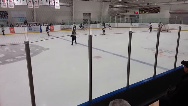 Panthers vs georgina 3: 2-0 win смотреть онлайн