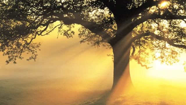 Mantra para la compasión y la curación- Guru Ram Das- Chant by Mirabai Ceiba смотреть онлайн