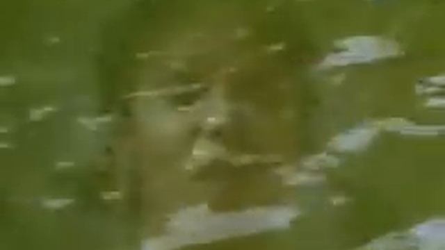 Bow Wow Wow /Chihuahua смотреть онлайн