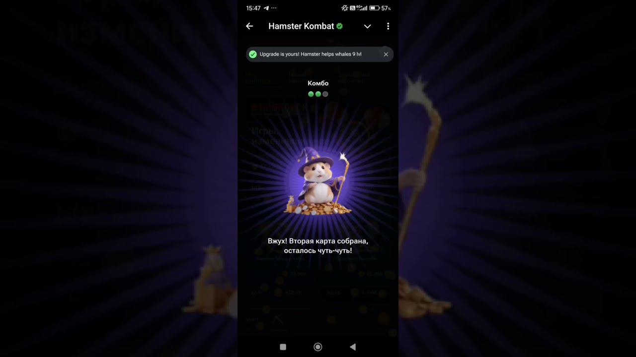 Комбо карты Hamster Kombat 11 - 12 августа 2024: карты, секреты и как найти комбо сегодня в Хомяке смотреть онлайн