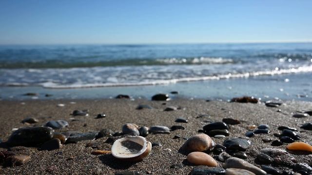 Nikon Z 50: съёмка 4K-видео с рук со стабилизацией смотреть онлайн