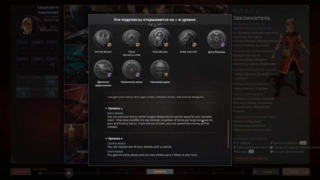 Solasta. Мод (UB) Unfinished Business. Заклинатель (Sorcerer)