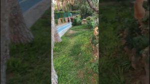 За 5 лет у меня накопилось много всякого. Если будет интересно, буду монтировать и выкладывать.