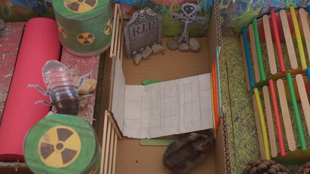 ?Halloween. Hamster in the maze.? смотреть онлайн
