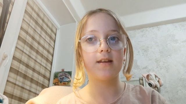 ☃️ vlog: новогодняя закупка ? декорация на нг ? смотреть онлайн