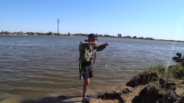 РЫБАЛКА В АСТРАХАНИ |2021| В ПОИСКАХ РЫБЫ, ЛОВЛЯ СУДАКА, САЗАНА, КАРАСЯ смотреть онлайн