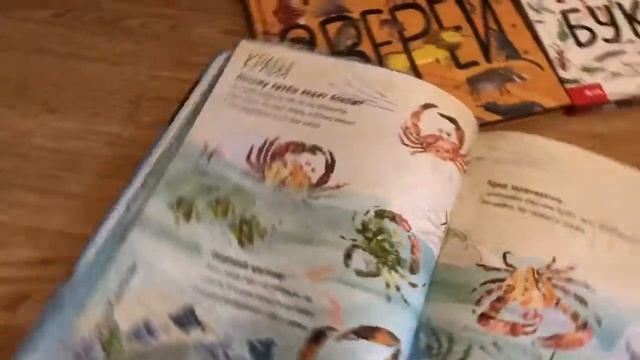 Читаем детям.Обзор детских книг о животных смотреть онлайн