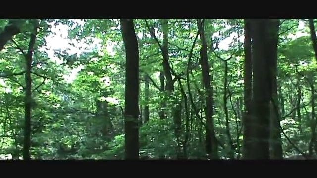 Metal Detecting - The Old Soldering Iron Tip | Nugget Noggin смотреть онлайн