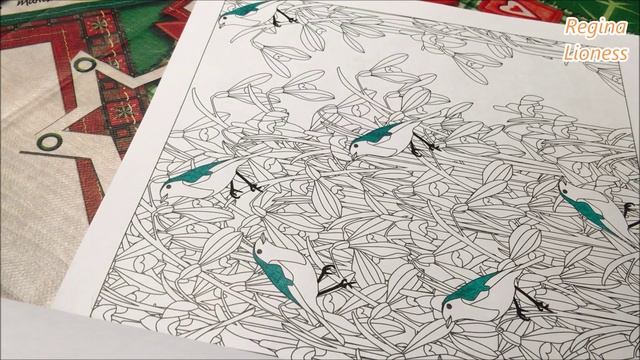 ASMR. Мои первые раскраски антистресс/За стрекозой в волшебный сад/Раскрашиваем птичек=^.^= смотреть онлайн