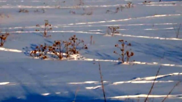 Реабилитационный центр "Возрождение" Нефтеюганск - Денисово смотреть онлайн