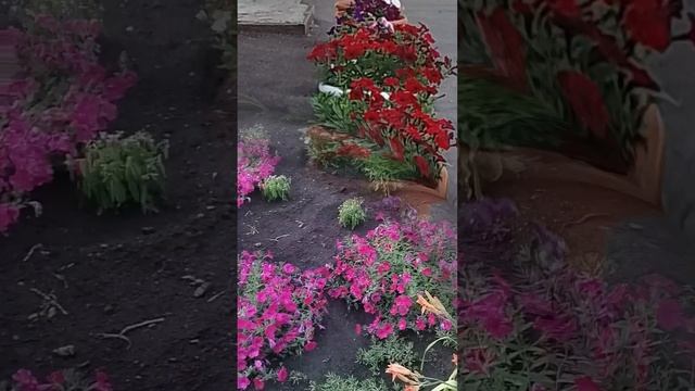 Лето в лагере смотреть онлайн