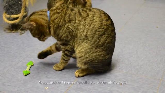 Petstages Fresh Breath Mint Stick Игрушка для кошек "Свежее дыхание" смотреть онлайн