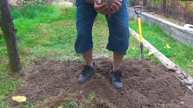 14 Красивый Алмаз на пальчике (1).mp4 смотреть онлайн