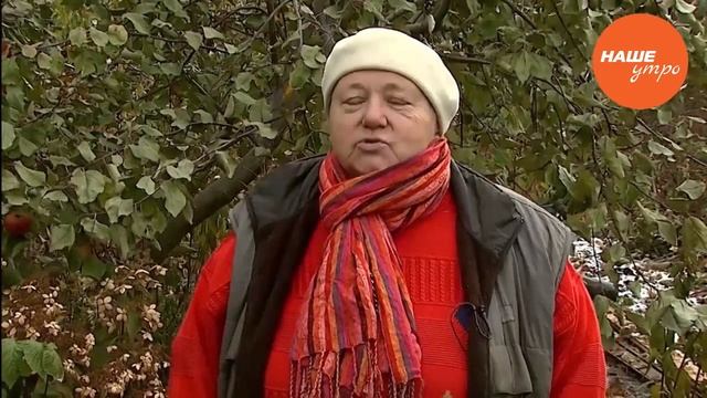 Готовим теплицу к зиме смотреть онлайн