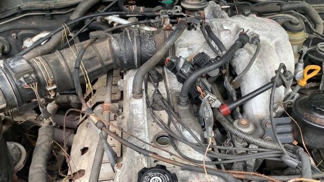 Will It Run? Abandoned 80 Series Land Cruiser смотреть онлайн