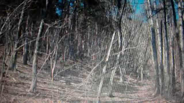 高村光太郎　"道程" смотреть онлайн