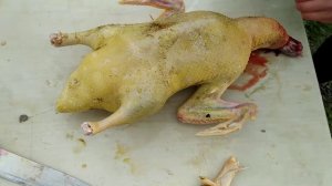 Забой утки, ощип и потрашение ?? 18+