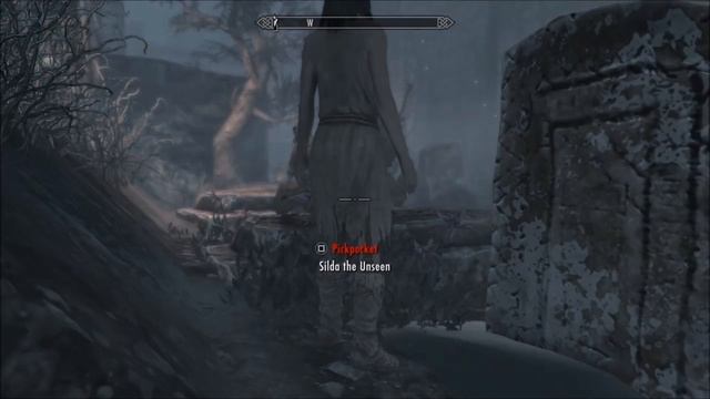 Fastest Leveling Tricks and Beginner Tips for Skyrim Special Edition смотреть онлайн