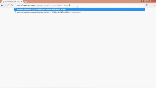 tutorial sql injection manual pemula banget смотреть онлайн
