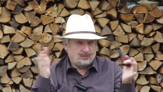 С. Савельев Наша социальная реальность смотреть онлайн