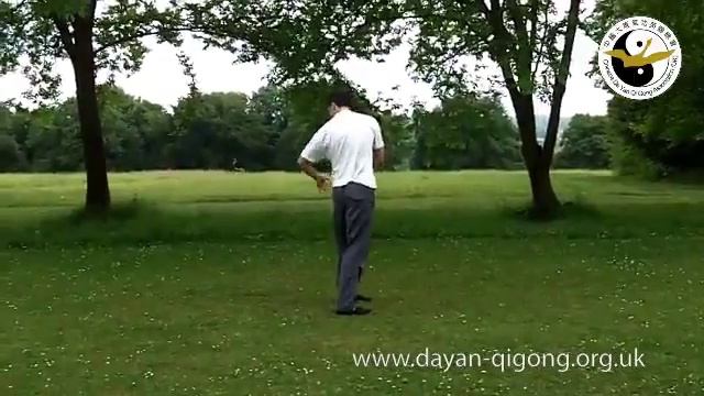 Цигун Дикого гуся (Даянь цигун - Dayan Qigong) смотреть онлайн