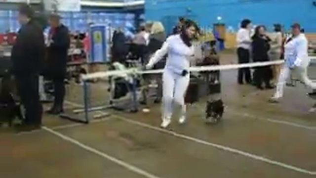Ассон Ари. выставка смотреть онлайн