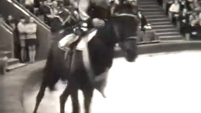 цирк семедесятых 1973год.