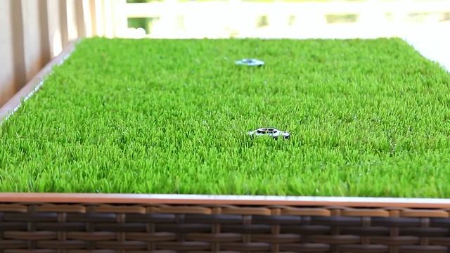 The Porch Potty™ — The Original Grass Litterbox For Dogs смотреть онлайн