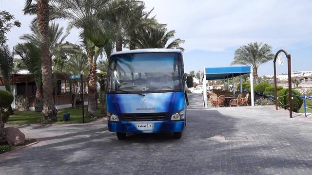 2016 Египет смотреть онлайн