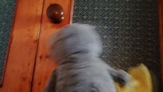 10 дел Басика смотреть онлайн