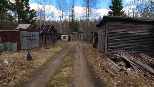 вепсский лес. подвесные мосты, капища, старые дома и церкви. смотреть онлайн