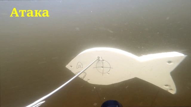 Ружье для подводной охоты АТАКА тест на открытой воде смотреть онлайн