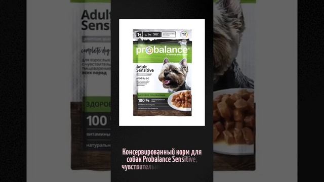 Консервированный корм для собак Probalance Sensitive, чувствительное пищеварение, 100г смотреть онлайн