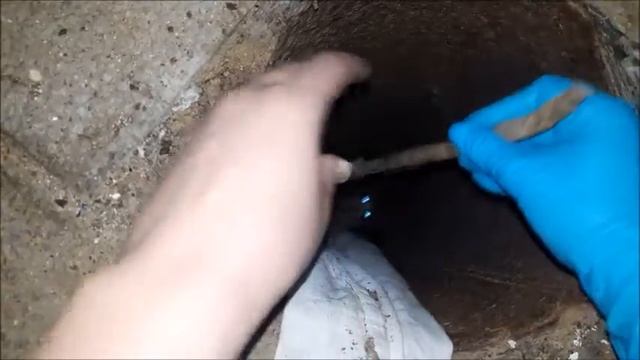 Спасение 4-ёх котят застрявших в трубе! Трое суток они отчаянно звали на помощь! смотреть онлайн