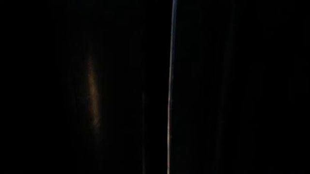 Горьковское направление. Зайцы