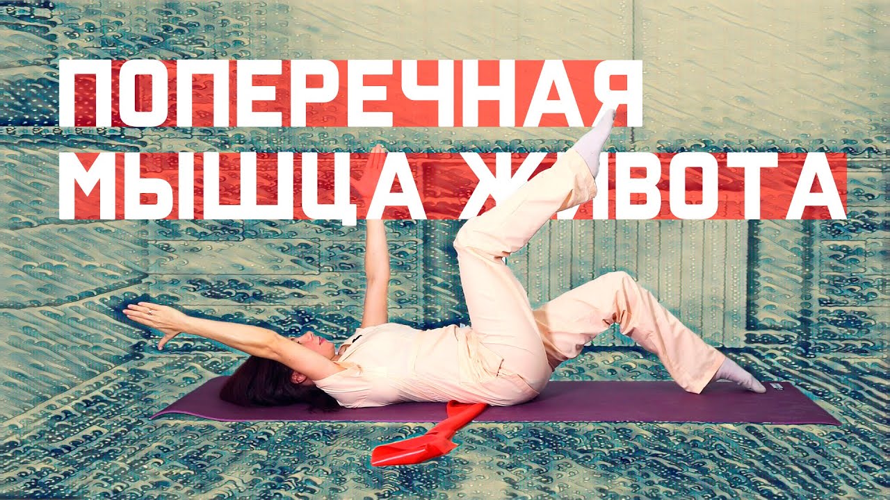 Поперечная мышца живота. Как укрепить дряблую брюшную стенку? смотреть онлайн