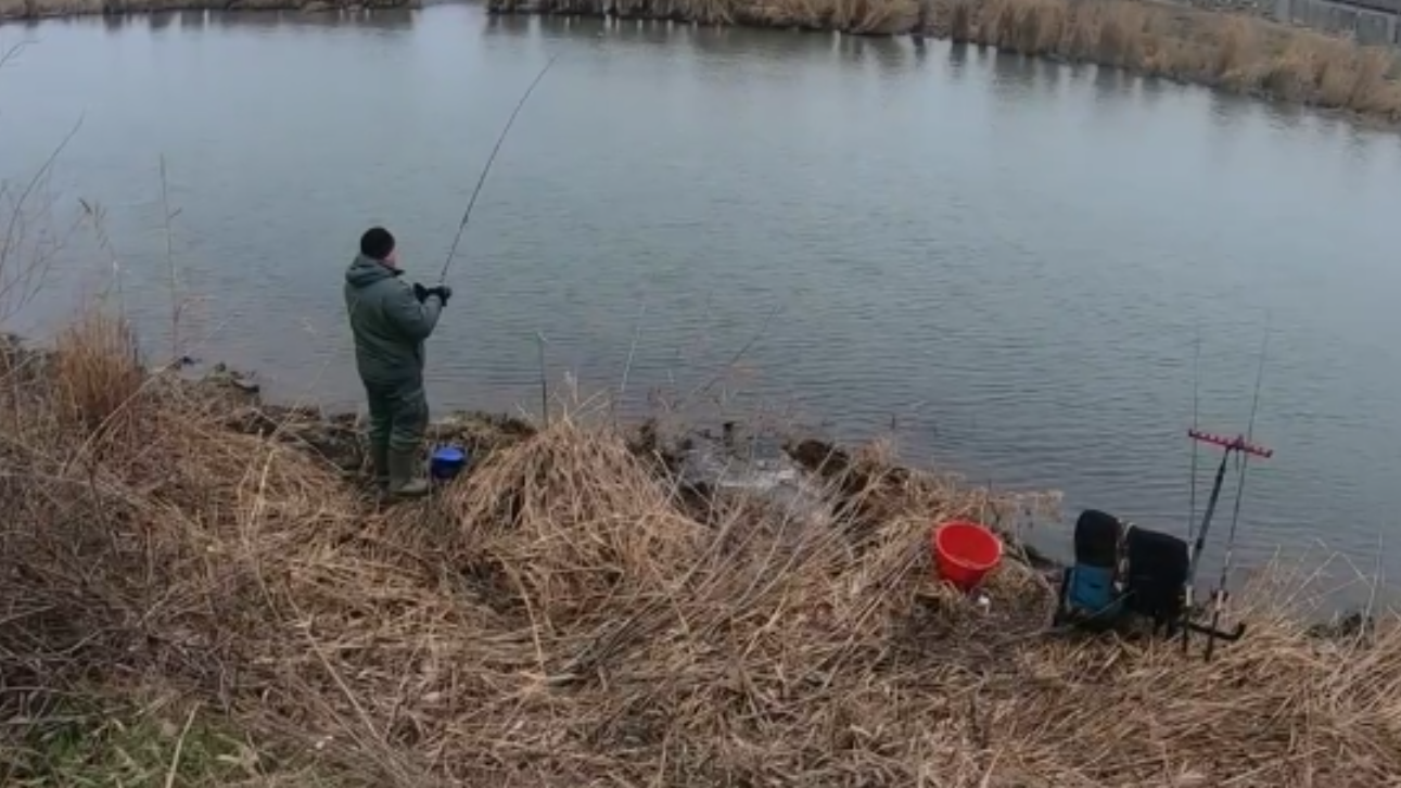 ЛОВЛЯ ФИДЕРОМ ЗИМОЙ НА ФЛЭТ. ОТКРЫТИЕ НОВОГО РЫБОЛОВНОГО СЕЗОНА! смотреть онлайн