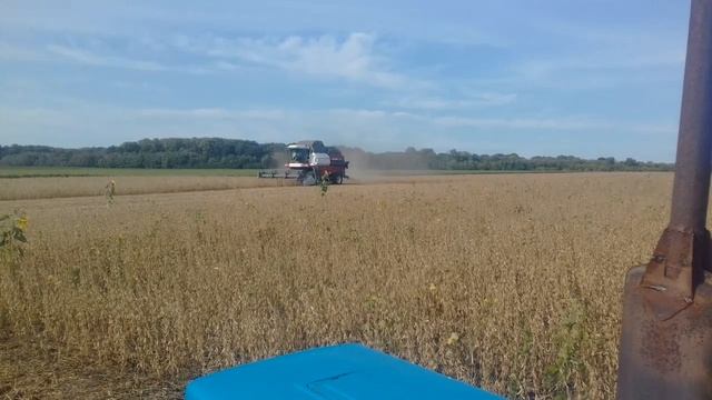 Уборка Сои 2017 год / Комбайн VECTOR 410 / Soybean Cleaning In 2017 / VECTOR 410 Combine Harvester