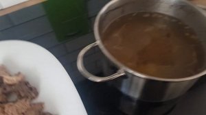 Чем кормить чихуахуа? Рецепт натурального корма для чихуахуа. Правильное питание чихуахуа