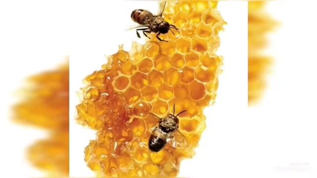 ЖИНСИЙ АЗО, ТУХУМДОН, БАЧАДОН ШАМОЛЛАШИНИ УЙ ШАРОИТИДА ДАВОЛАШ смотреть онлайн